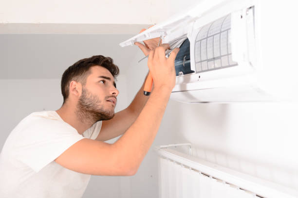 Best Professional Duct Cleaning Services  in Brownlee Park, MI